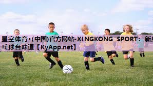 星空体育·(中国)官方网站-XINGKONG SPORT：新乒乓球台味道