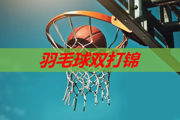 羽毛球双打锦