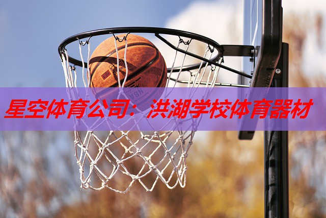 洪湖学校体育器材 洪湖学校体育器材